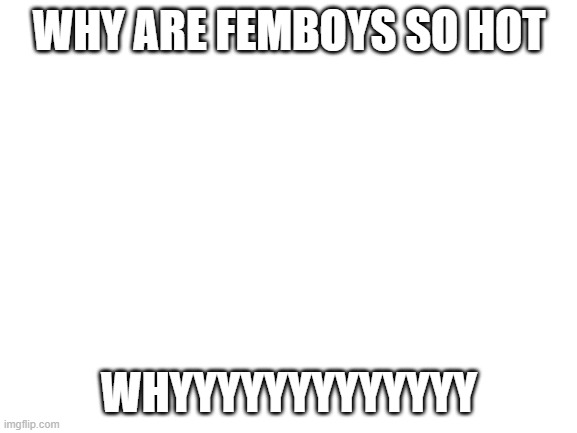 (MOD NOTE: majic) | WHY ARE FEMBOYS SO HOT; WHYYYYYYYYYYYYY | image tagged in blank white template | made w/ Imgflip meme maker