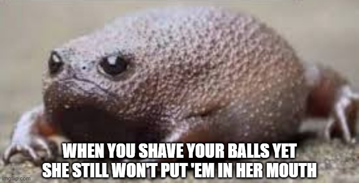 Shaven | WHEN YOU SHAVE YOUR BALLS YET SHE STILL WON'T PUT 'EM IN HER MOUTH | image tagged in sex jokes | made w/ Imgflip meme maker