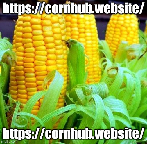 https://cornhub.website/ | https://cornhub.website/; https://cornhub.website/ | image tagged in corn meme | made w/ Imgflip meme maker