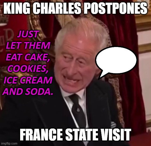 Just let them eat cake, cookies, ice cream and soda. | KING CHARLES POSTPONES; JUST LET THEM EAT CAKE, COOKIES, ICE CREAM AND SODA. FRANCE STATE VISIT | image tagged in the king s angst | made w/ Imgflip meme maker