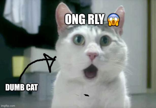 OMG Cat Meme | ONG RLY ? DUMB CAT | image tagged in memes,omg cat | made w/ Imgflip meme maker