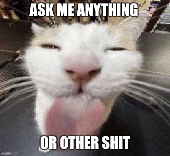 bleh | ASK ME ANYTHING; OR OTHER SHIT | image tagged in bleh | made w/ Imgflip meme maker