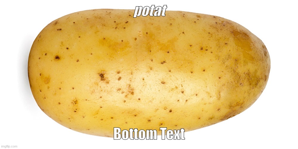 potat | potat; Bottom Text | image tagged in potato,stupid | made w/ Imgflip meme maker