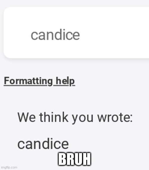 "We think you wrote candice" | BRUH | image tagged in i don't think i wrote candice | made w/ Imgflip meme maker