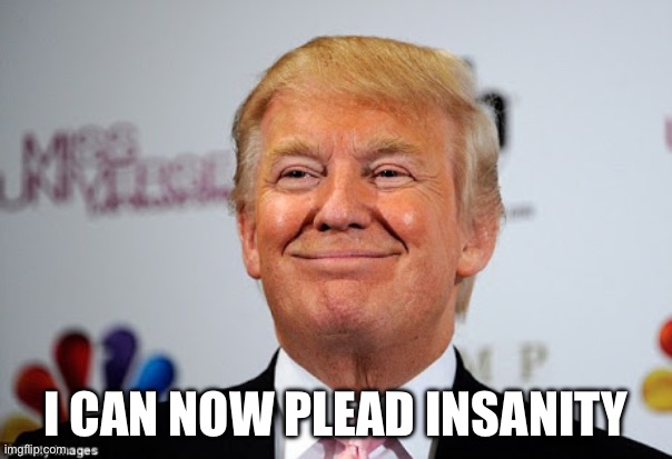 Donald trump approves | I CAN NOW PLEAD INSANITY | image tagged in donald trump approves | made w/ Imgflip meme maker