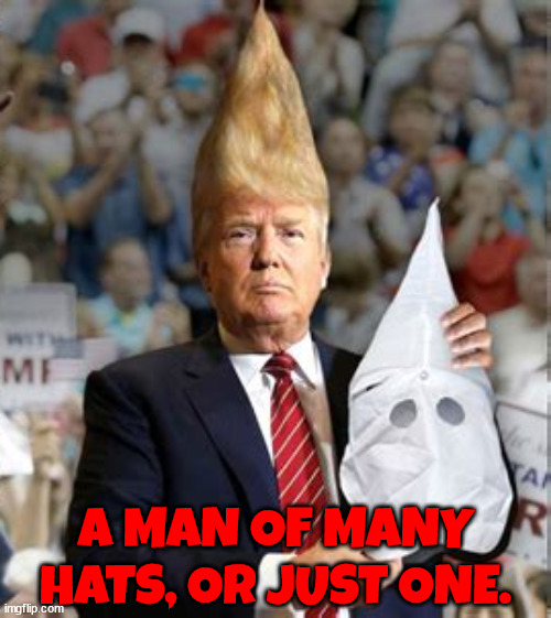 Just one hat | A MAN OF MANY HATS, OR JUST ONE. | image tagged in donald trump,kkk,maga,racist,gop,good people | made w/ Imgflip meme maker