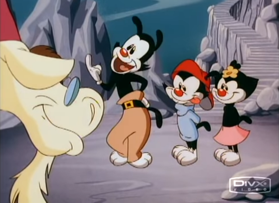 Animaniacs Hot Dog Question Blank Meme Template