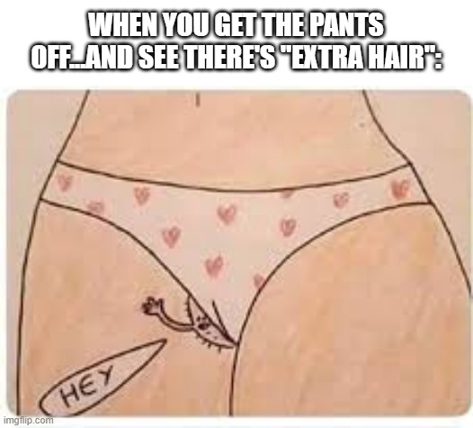 Shave Perhaps? | WHEN YOU GET THE PANTS OFF...AND SEE THERE'S "EXTRA HAIR": | image tagged in sex jokes | made w/ Imgflip meme maker