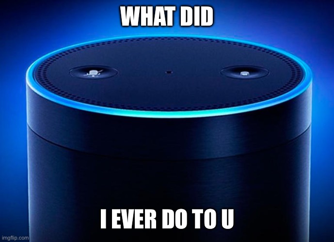 Alexa | WHAT DID I EVER DO TO U | image tagged in alexa | made w/ Imgflip meme maker