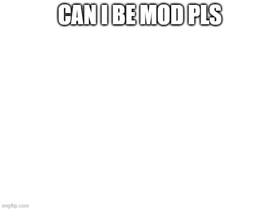Blank White Template | CAN I BE MOD PLS | image tagged in blank white template | made w/ Imgflip meme maker