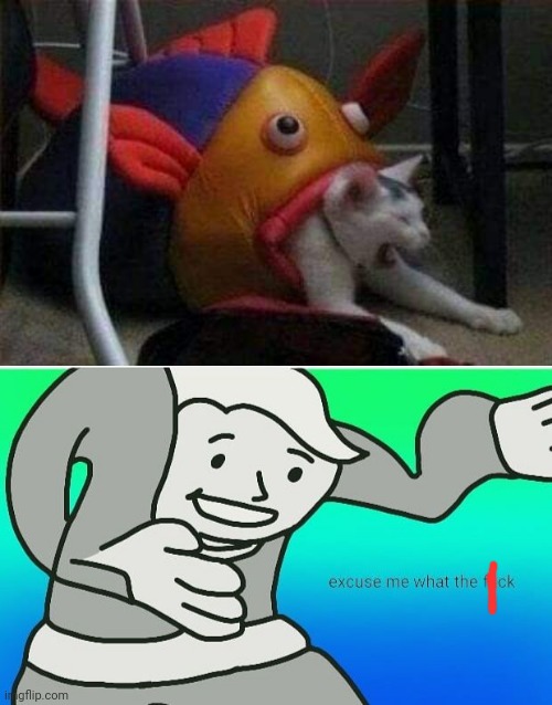 image tagged in cat eaten by play-fish,fallout boy excuse me wyf | made w/ Imgflip meme maker