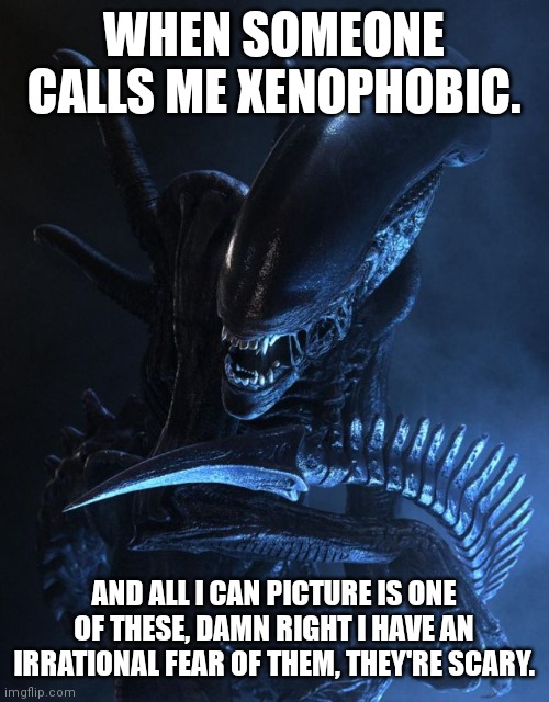 Irrational fear. | WHEN SOMEONE CALLS ME XENOPHOBIC. AND ALL I CAN PICTURE IS ONE OF THESE, DAMN RIGHT I HAVE AN IRRATIONAL FEAR OF THEM, THEY'RE SCARY. | image tagged in xenomorph,xenophobia,aliens,funny | made w/ Imgflip meme maker
