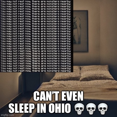 I sure hope the Phantoms don’t come | CAN’T EVEN SLEEP IN OHIO 💀💀💀 | image tagged in memes,minecraft,ohio | made w/ Imgflip meme maker