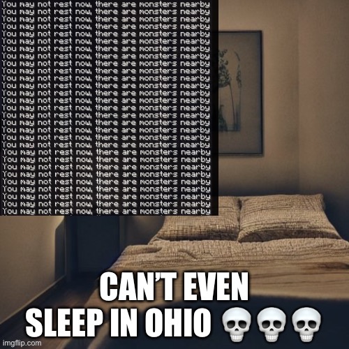 Oh no, PHANTOMS | image tagged in memes,minecraft,ohio | made w/ Imgflip meme maker