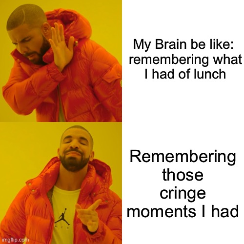 Why is my Brain like this | My Brain be like: 

remembering what I had of lunch; Remembering those cringe moments I had | image tagged in memes,drake hotline bling | made w/ Imgflip meme maker