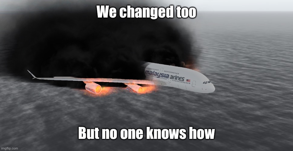 Crashed Airplane | We changed too But no one knows how | image tagged in crashed airplane | made w/ Imgflip meme maker