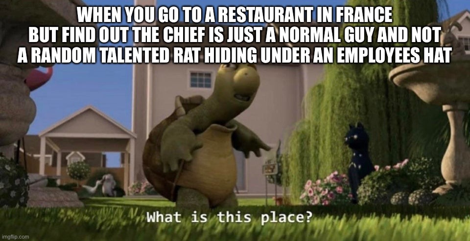 France. | WHEN YOU GO TO A RESTAURANT IN FRANCE
BUT FIND OUT THE CHIEF IS JUST A NORMAL GUY AND NOT A RANDOM TALENTED RAT HIDING UNDER AN EMPLOYEES HAT | image tagged in what is this place | made w/ Imgflip meme maker