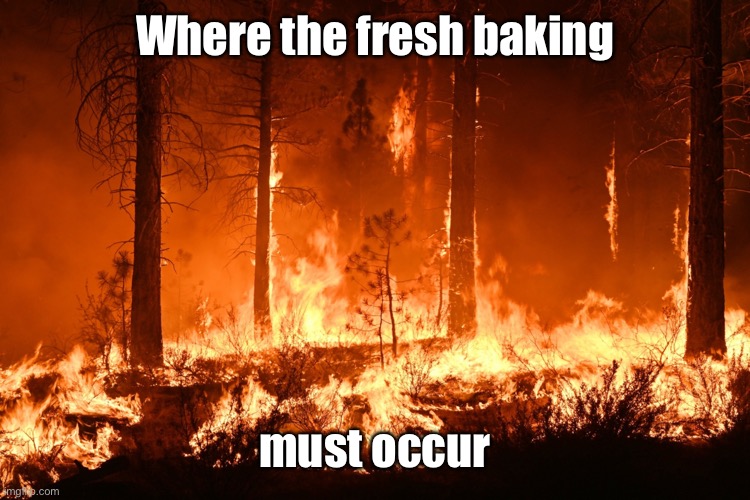 Burning Forest | Where the fresh baking must occur | image tagged in burning forest | made w/ Imgflip meme maker