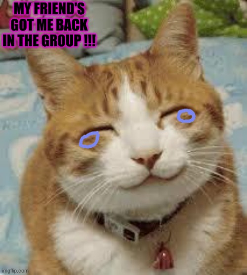 Happy cat | MY FRIEND'S GOT ME BACK IN THE GROUP !!! | image tagged in happy cat,not broken,ight im back | made w/ Imgflip meme maker