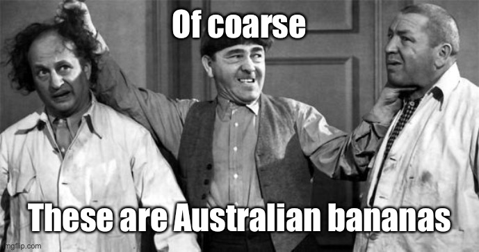 Three Stooges | Of coarse These are Australian bananas | image tagged in three stooges | made w/ Imgflip meme maker
