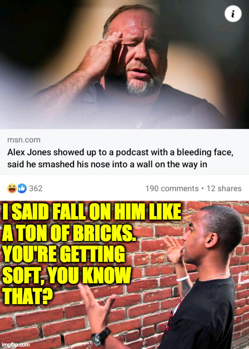 Yes Boss.  Sorry Boss. | I SAID FALL ON HIM LIKE
A TON OF BRICKS.
YOU'RE GETTING
SOFT, YOU KNOW
THAT? | image tagged in talking to wall,memes,alex jones | made w/ Imgflip meme maker
