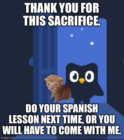 not my kimtin :((( | THANK YOU FOR THIS SACRIFICE. DO YOUR SPANISH LESSON NEXT TIME, OR YOU WILL HAVE TO COME WITH ME. | image tagged in duolingo bird | made w/ Imgflip meme maker
