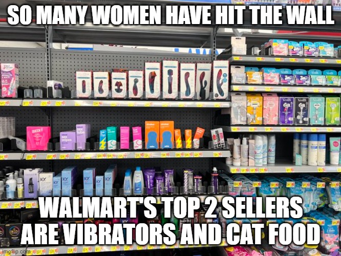 enjoy your cats | SO MANY WOMEN HAVE HIT THE WALL; WALMART'S TOP 2 SELLERS ARE VIBRATORS AND CAT FOOD | image tagged in walmart,mgtow,people of walmart,walmart life,cats | made w/ Imgflip meme maker