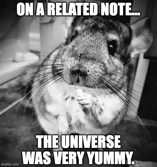 Chinchilla | ON A RELATED NOTE... THE UNIVERSE WAS VERY YUMMY. | image tagged in chinchilla | made w/ Imgflip meme maker