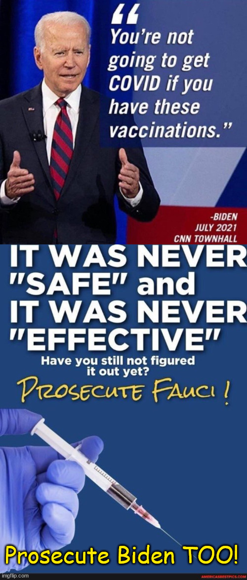 No Amnesty... | Prosecute Biden TOO! | image tagged in covid vaccine,liars | made w/ Imgflip meme maker