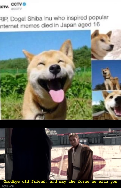 RIP, we lost the best | Goodbye old friend, and may the force be with you | image tagged in obi wan goodbye,doge | made w/ Imgflip meme maker