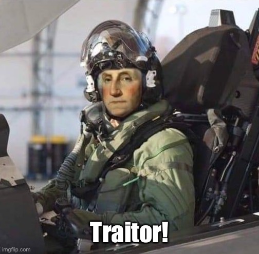 George Washington, USAF General | Traitor! | image tagged in george washington usaf general | made w/ Imgflip meme maker