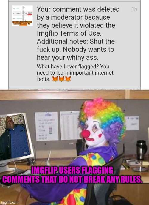 Someone needs to learn important mod facts | IMGFLIP USERS FLAGGING COMMENTS THAT DO NOT BREAK ANY RULES. | image tagged in clown computer,mods,facts | made w/ Imgflip meme maker