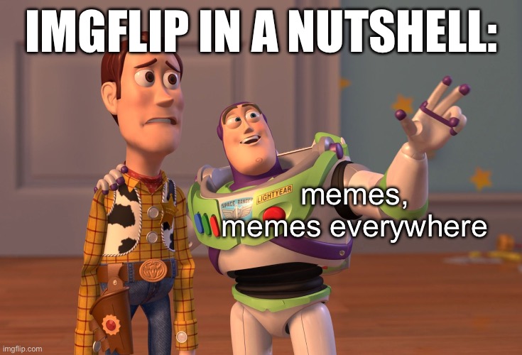 true | IMGFLIP IN A NUTSHELL:; memes, memes everywhere | image tagged in memes,x x everywhere | made w/ Imgflip meme maker