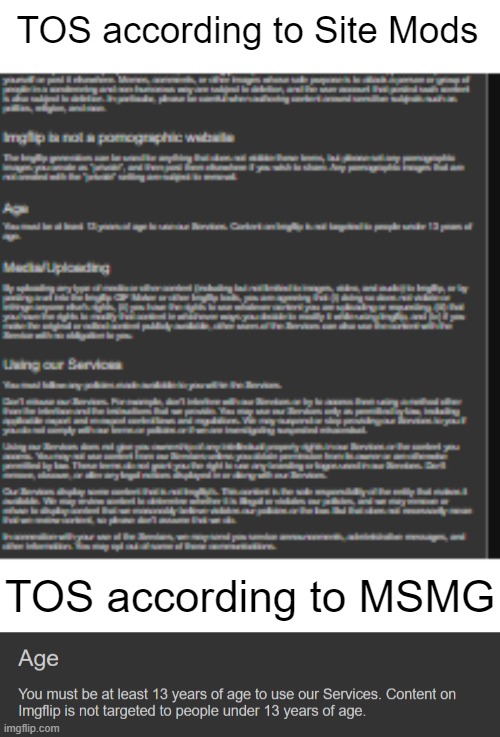 TOS according to Site Mods; TOS according to MSMG | image tagged in tos | made w/ Imgflip meme maker