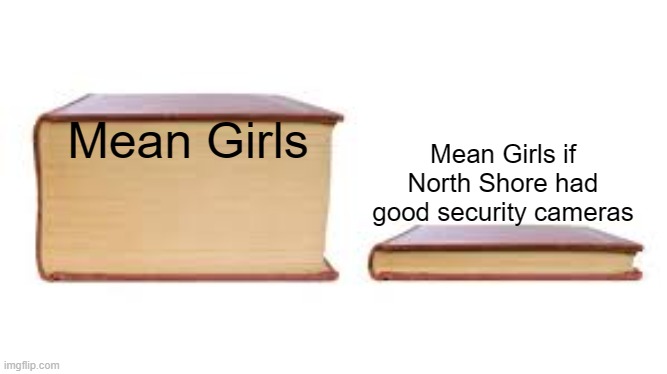 Big book small book | Mean Girls if North Shore had good security cameras; Mean Girls | image tagged in big book small book | made w/ Imgflip meme maker