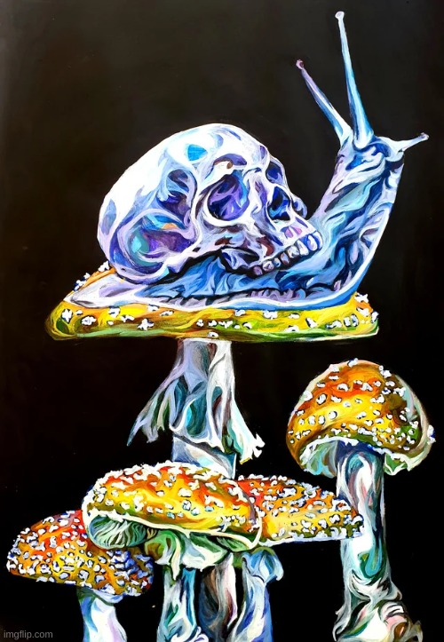 Some more mushroom art I found online (Credits to u/LittleLachrymose on reddit) | image tagged in drawing,cool,mushroom,art,this is not my art btw | made w/ Imgflip meme maker