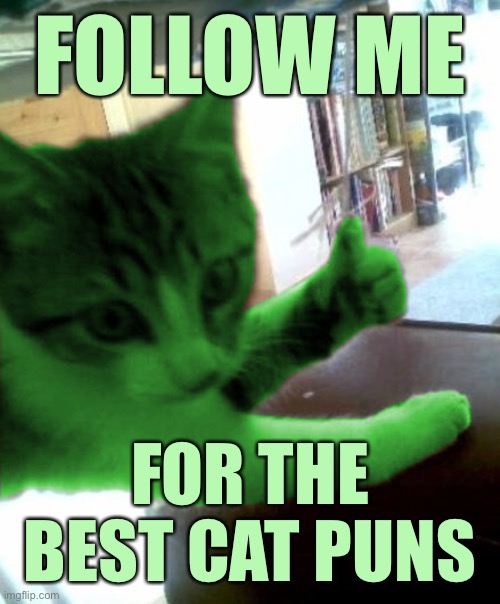 thumbs up RayCat | FOLLOW ME; FOR THE BEST CAT PUNS | image tagged in thumbs up raycat,memes,raycat | made w/ Imgflip meme maker