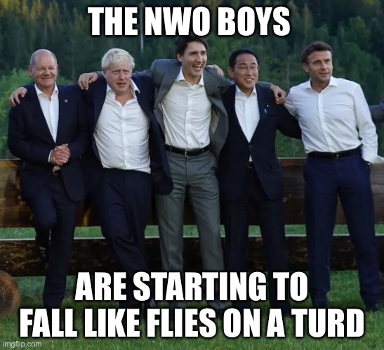 G7 Boys | THE NWO BOYS; ARE STARTING TO FALL LIKE FLIES ON A TURD | image tagged in g7 boys | made w/ Imgflip meme maker