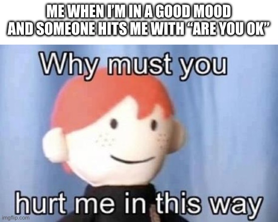 True story | ME WHEN I’M IN A GOOD MOOD AND SOMEONE HITS ME WITH “ARE YOU OK” | image tagged in why must you hurt me this way | made w/ Imgflip meme maker