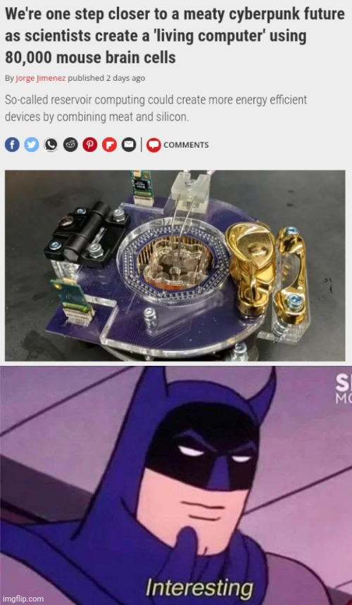 A living computer | image tagged in batman interesting,memes,combination,science,technology,energy efficient | made w/ Imgflip meme maker