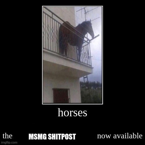 horses | MSMG SHITPOST | image tagged in horses | made w/ Imgflip meme maker