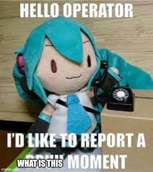 hello operator i'd like to report a bruh moment | WHAT IS THIS | image tagged in hello operator i'd like to report a bruh moment | made w/ Imgflip meme maker