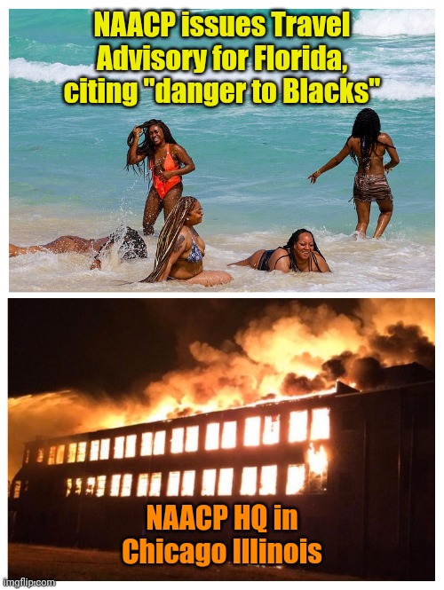 Stay in the BLUE States! | NAACP issues Travel Advisory for Florida, citing "danger to Blacks"; NAACP HQ in Chicago Illinois | made w/ Imgflip meme maker