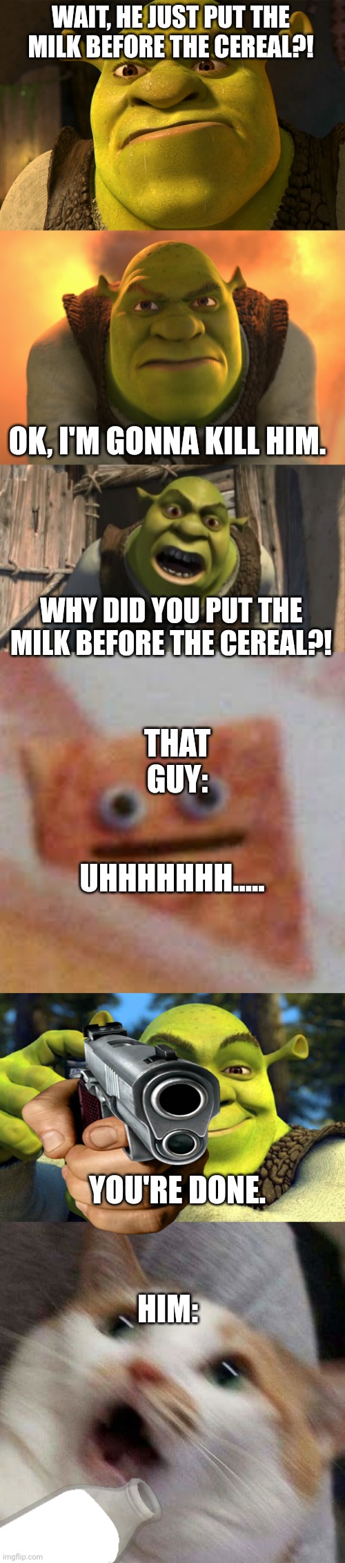Why did he do that?! | WAIT, HE JUST PUT THE MILK BEFORE THE CEREAL?! OK, I'M GONNA KILL HIM. WHY DID YOU PUT THE MILK BEFORE THE CEREAL?! THAT GUY:; UHHHHHHH..... HIM:; YOU'RE DONE. | image tagged in angry shrek,shrek what are you doing in my swamp,cinnamon toast uhhhhh,shrek camera,very distressed cat | made w/ Imgflip meme maker