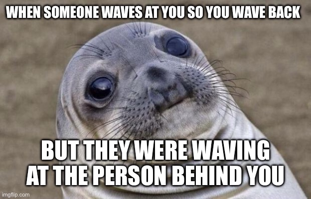 Awkward Moment Sealion | WHEN SOMEONE WAVES AT YOU SO YOU WAVE BACK; BUT THEY WERE WAVING AT THE PERSON BEHIND YOU | image tagged in memes,awkward moment sealion | made w/ Imgflip meme maker