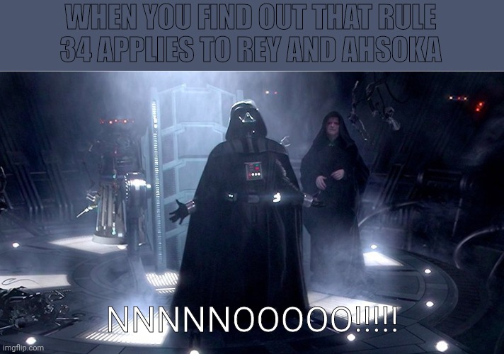 darth vader no | WHEN YOU FIND OUT THAT RULE 34 APPLIES TO REY AND AHSOKA; NNNNNOOOOO!!!!! | image tagged in darth vader no | made w/ Imgflip meme maker
