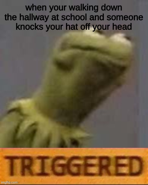 absolutely relatable | when your walking down the hallway at school and someone knocks your hat off your head | image tagged in kermit triggered,hat,knockers,school,triggered | made w/ Imgflip meme maker
