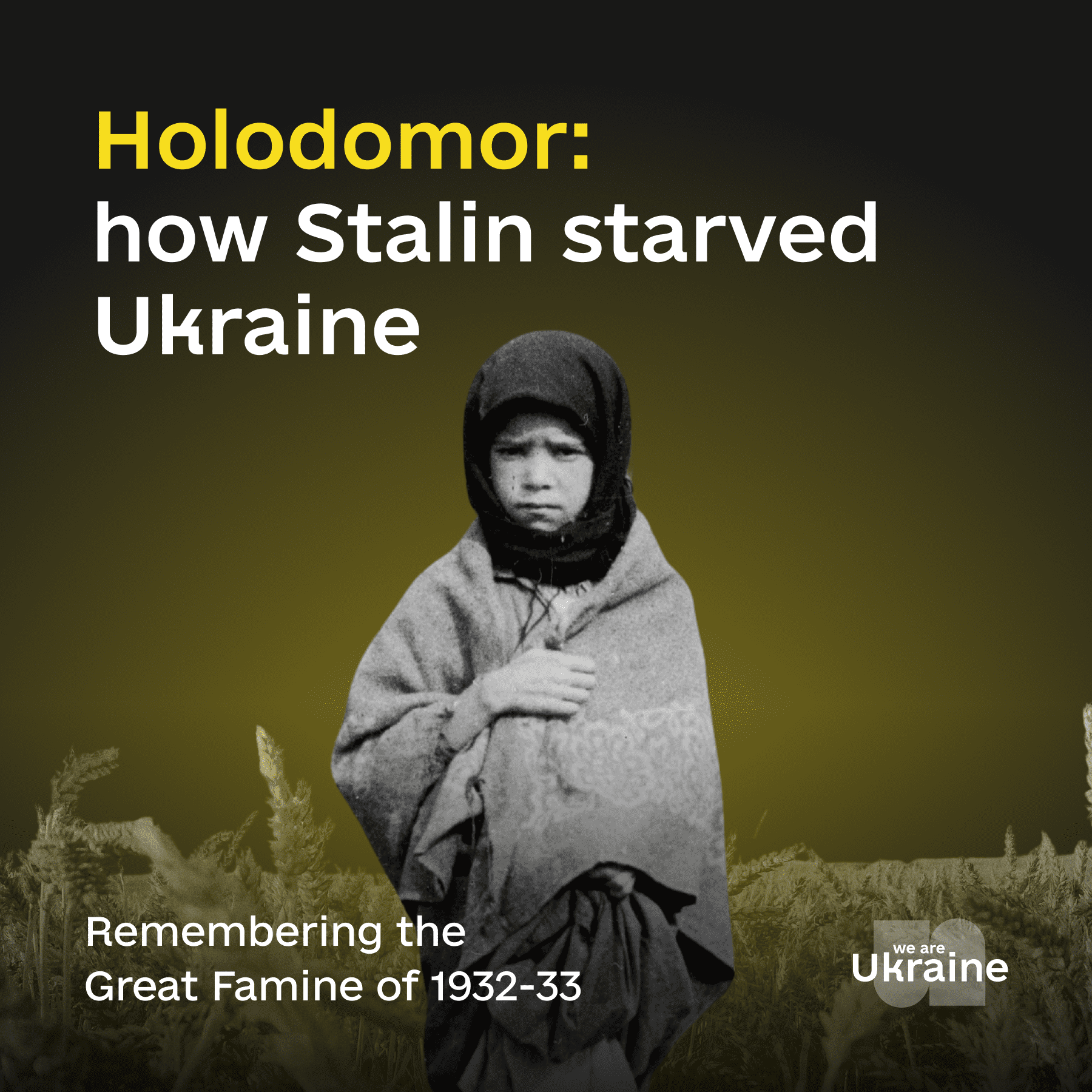 Holodomor: Remembering the Great Famine of 1932-33 Blank Meme Template