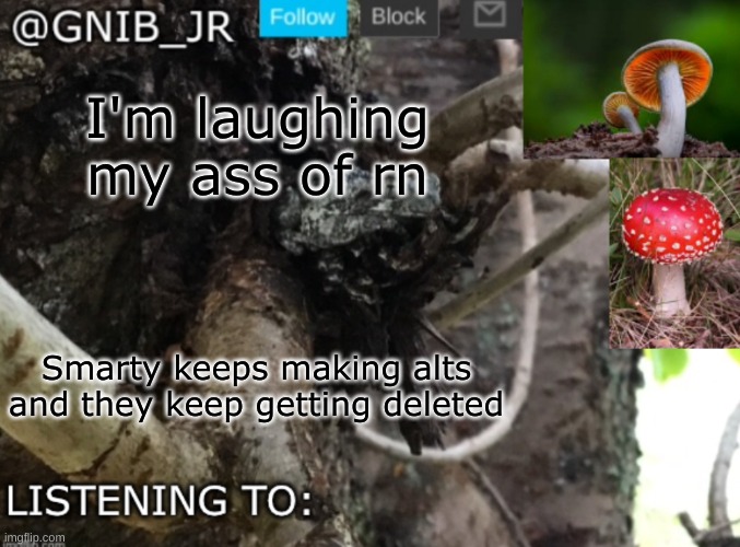 bozo will never learn will he | I'm laughing my ass of rn; Smarty keeps making alts and they keep getting deleted | image tagged in gnib_jr's new temp | made w/ Imgflip meme maker