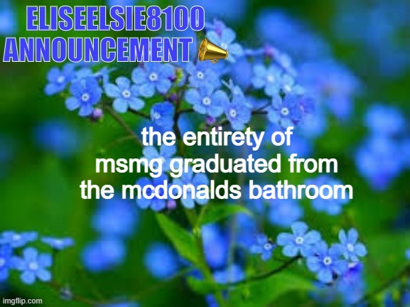 EliseElsie8100 Announcement | the entirety of msmg graduated from the mcdonalds bathroom | image tagged in eliseelsie8100 announcement | made w/ Imgflip meme maker